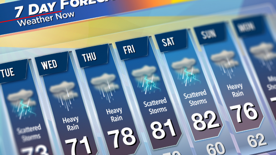 Alabama’s Storm Prep Tax Holiday: What to Know